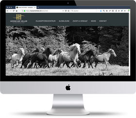 Projekt, Referenz itext.ch – hestarhofheller.ch